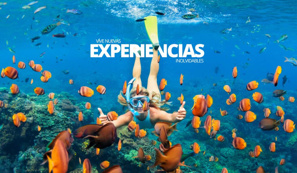 Los mejores lugares para practicar snorkel y buceo en la bahía de Cartagena de indias